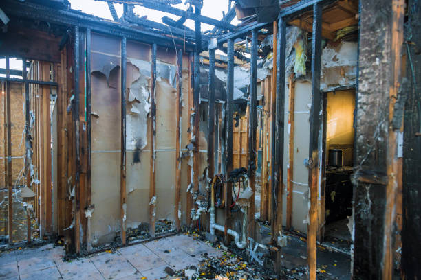 Professional Fire Damage Removal technician working in Red Wing, MN