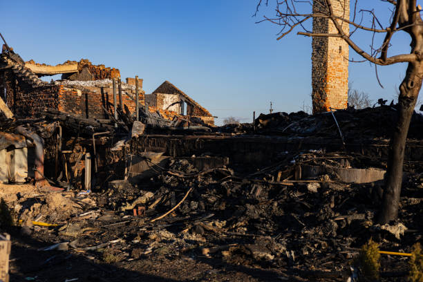 Trusted Fire Damage Removal service in Red Wing, MN - Fire Damage Laser Cleaning
